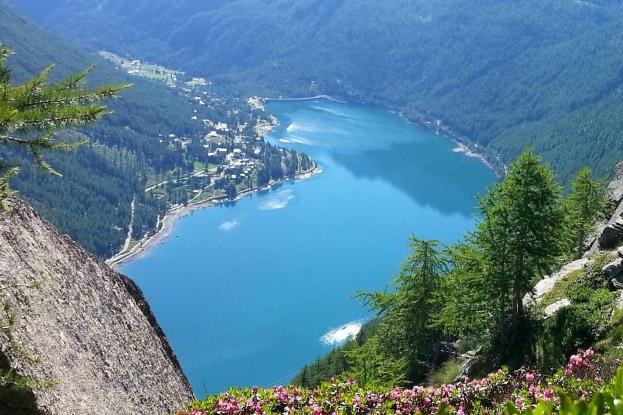 Il Bilocale Della Nonna Villa Locana Dış mekan fotoğraf
