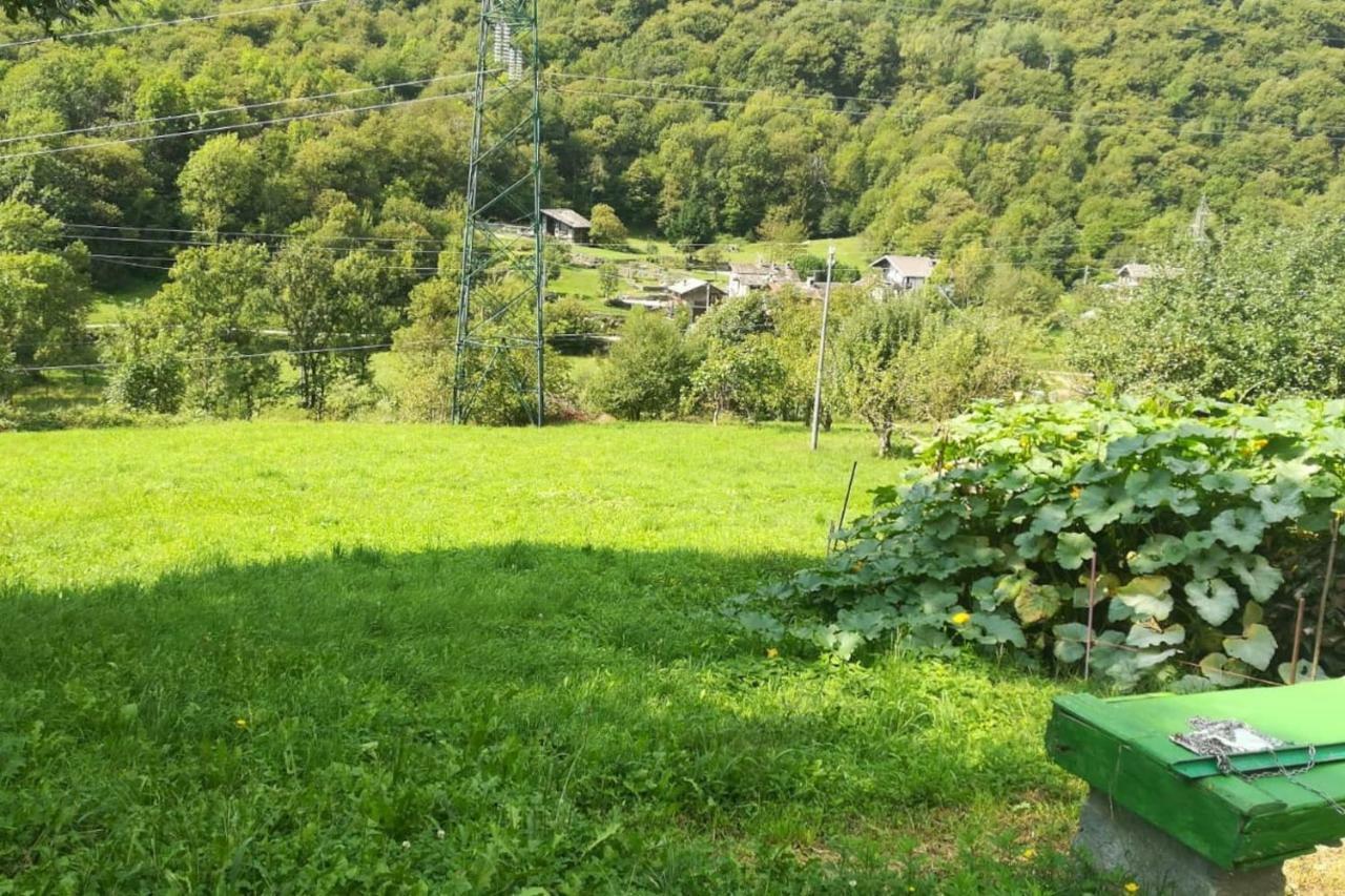 Il Bilocale Della Nonna Villa Locana Dış mekan fotoğraf