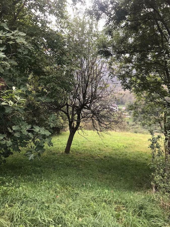 Il Bilocale Della Nonna Villa Locana Dış mekan fotoğraf